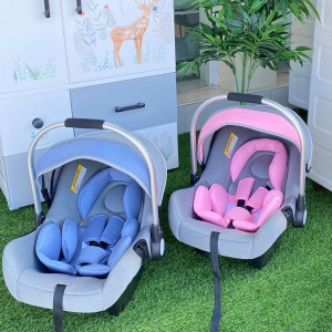 Infant Car Seat Carrier With Canopy & Safety Harness